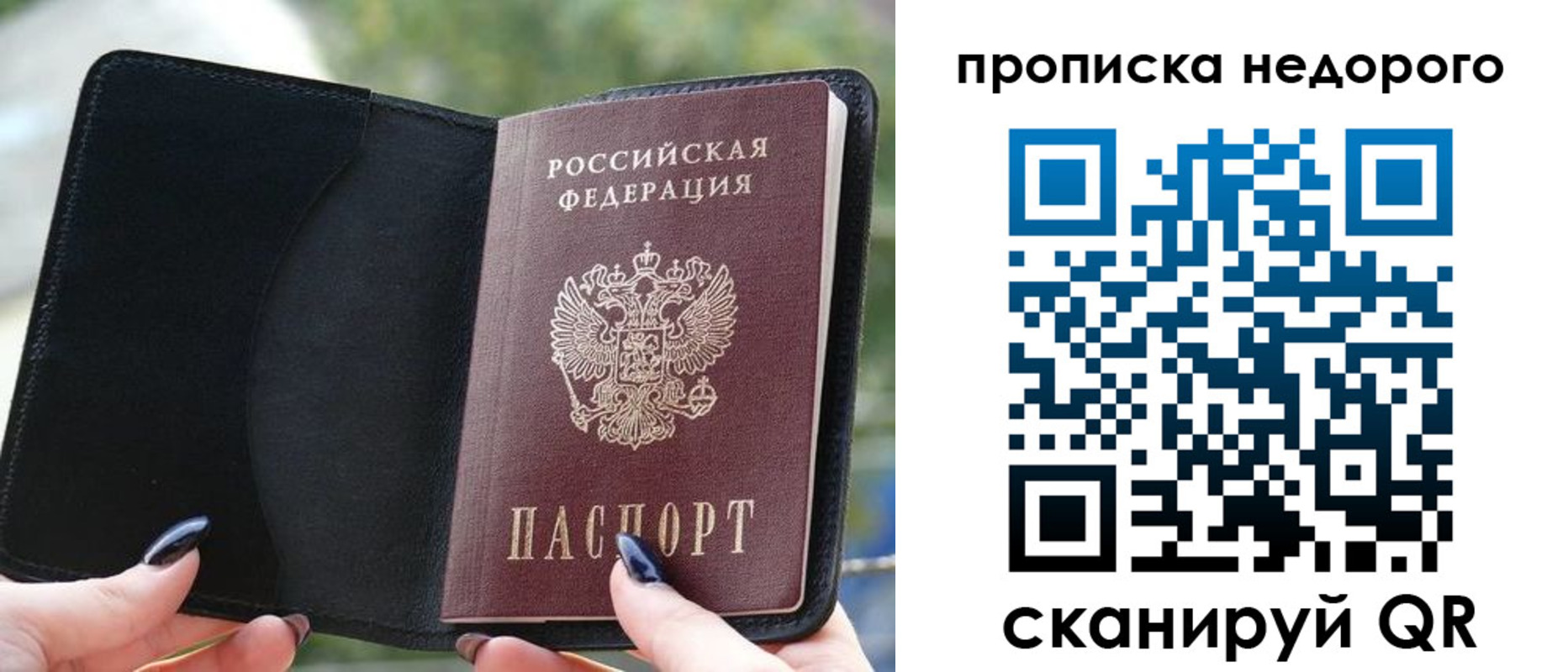 временная регистрация поиск в Александрове